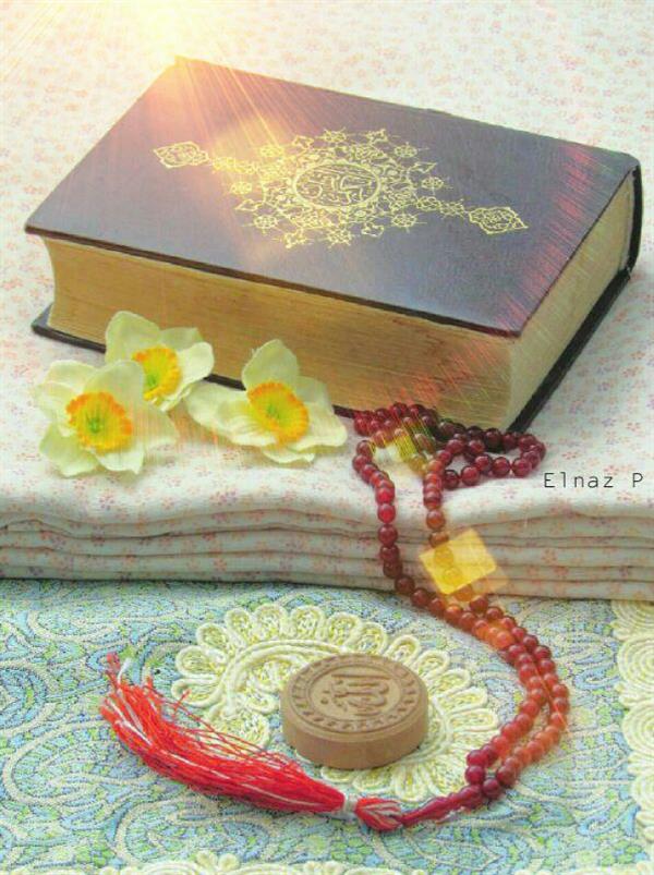 هنر عکاسی آرامش الناز پناهی