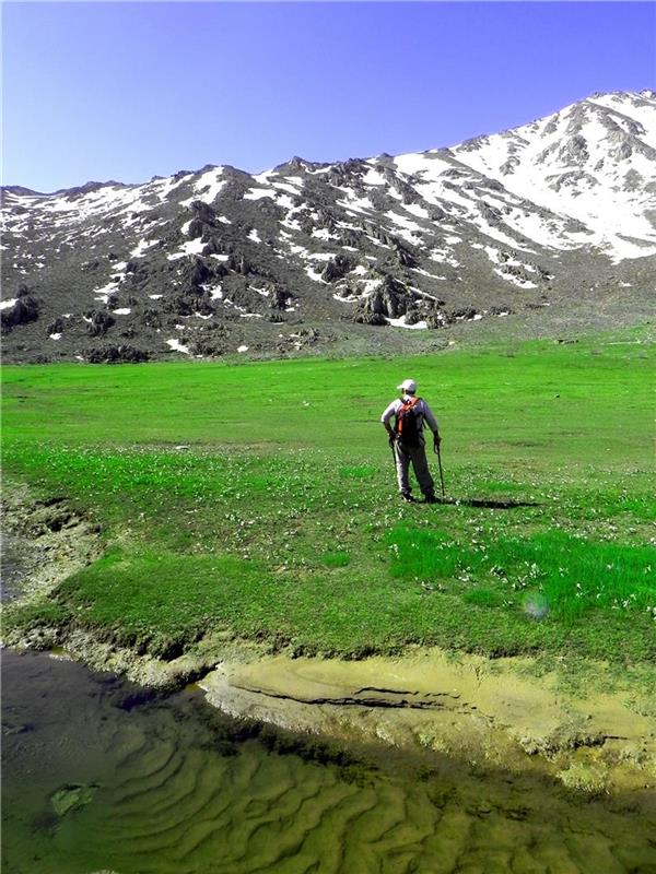 هنر عکاسی آرامش عابدین محمدی
