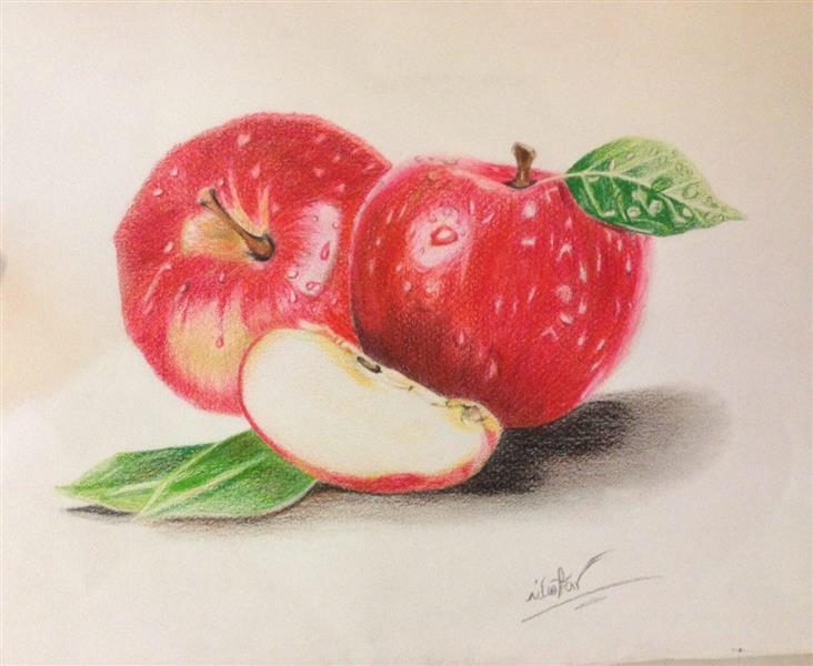 هنر نقاشی و گرافیک نقاشی میوه nil