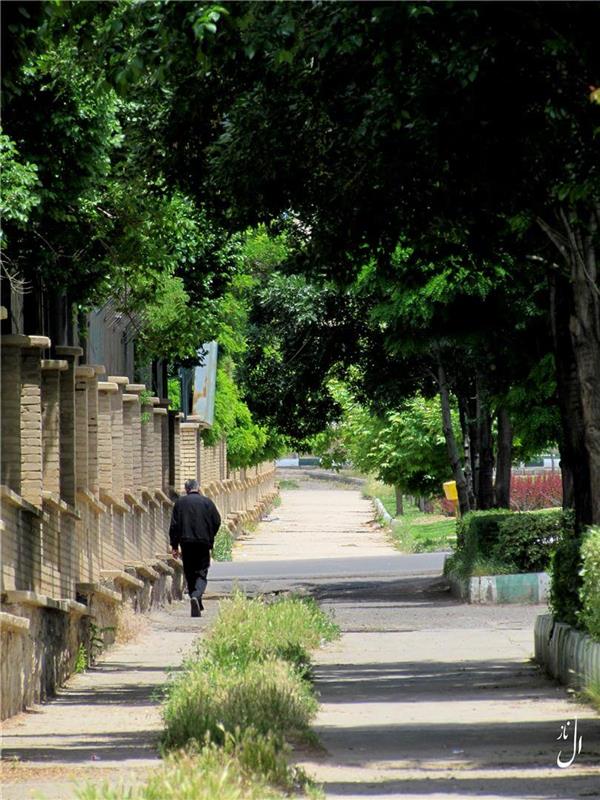 هنر عکاسی شهر الناز پناهی