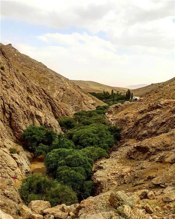 هنر عکاسی پرسپكتيو tamasha_ma