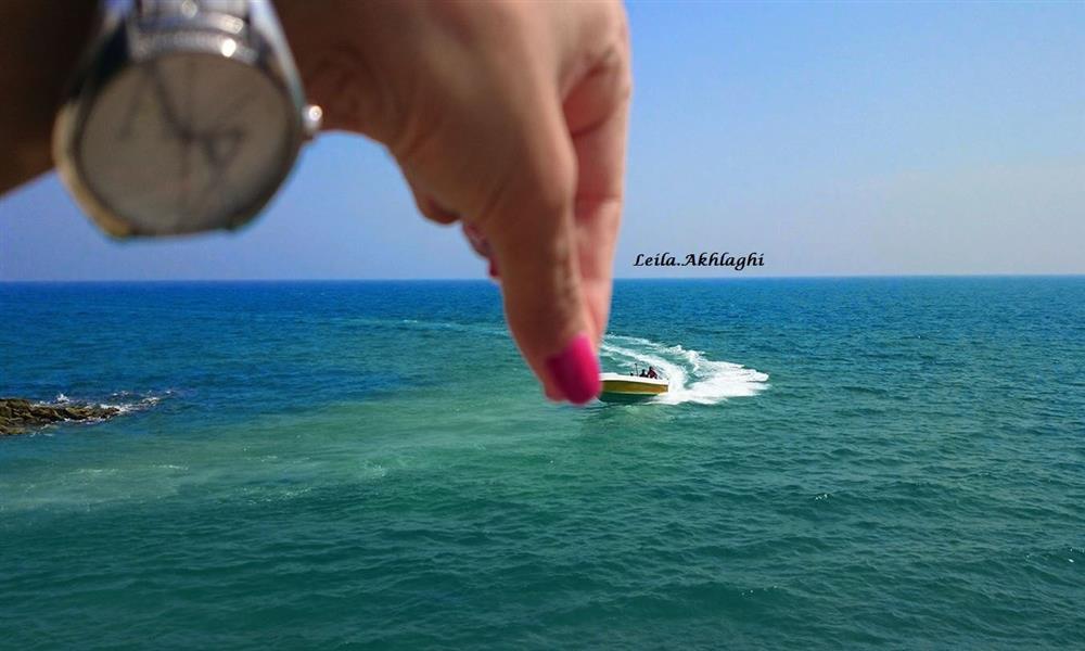 هنر عکاسی پرسپكتيو lily 
