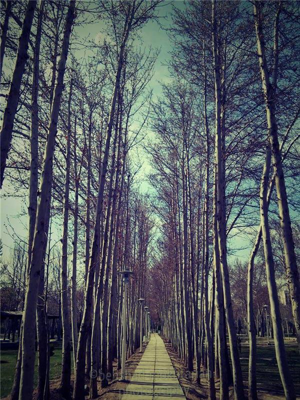 هنر عکاسی پرسپكتيو behshadmokhtaria_photography 
