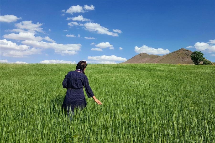 هنر عکاسی تابستان tamasha_ma