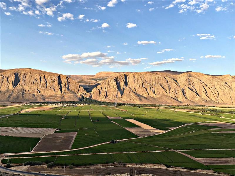 هنر عکاسی تابستان مصطفی حمزه ای
