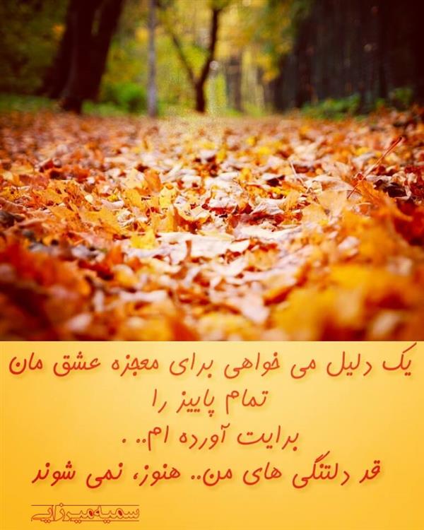 هنر شعر و داستان شعر فراق سمیه میرزایی 