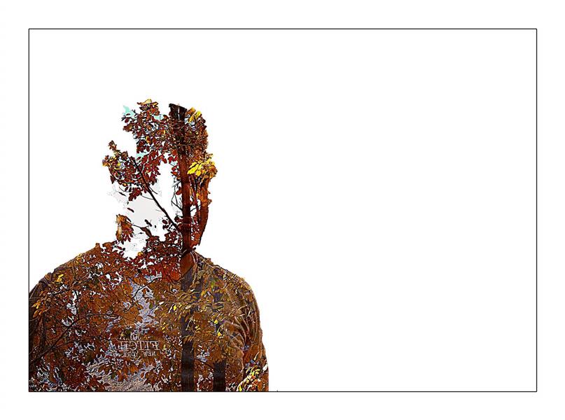 عکس برگ پاییزی برای پروفایل