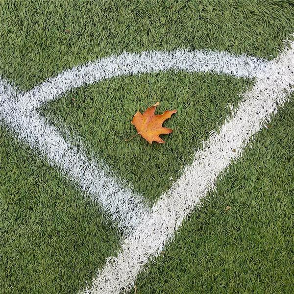 عکس برگ پاییزی برای پروفایل