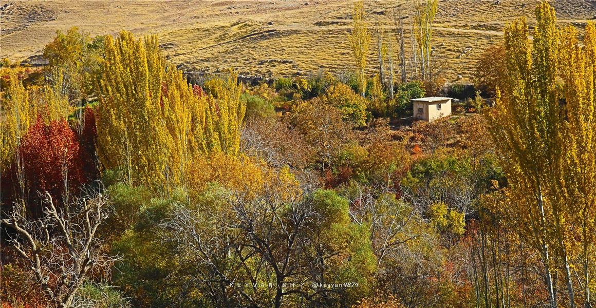 هنر عکاسی پاییز keyvan