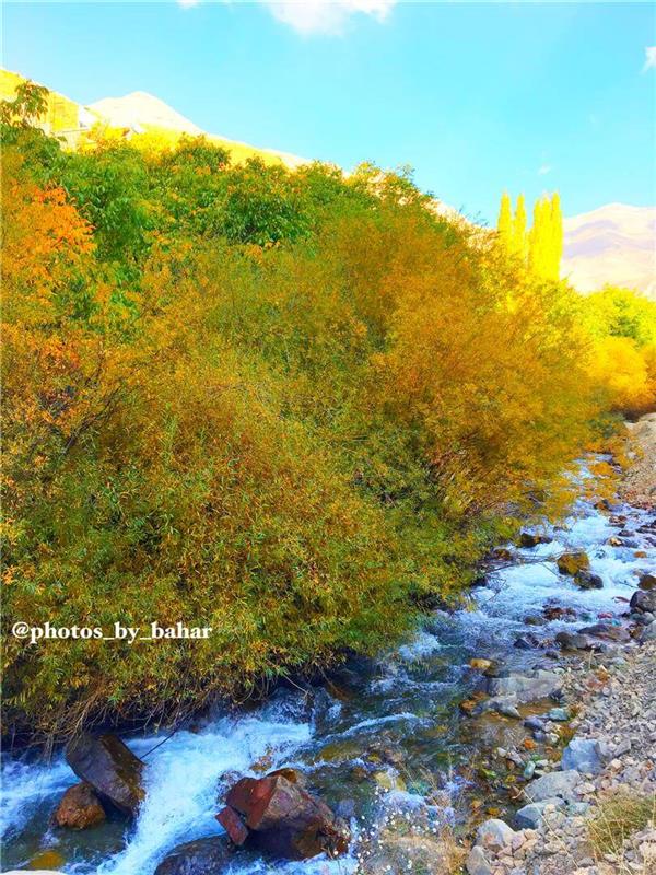هنر عکاسی پاییز Photos_by_bahar