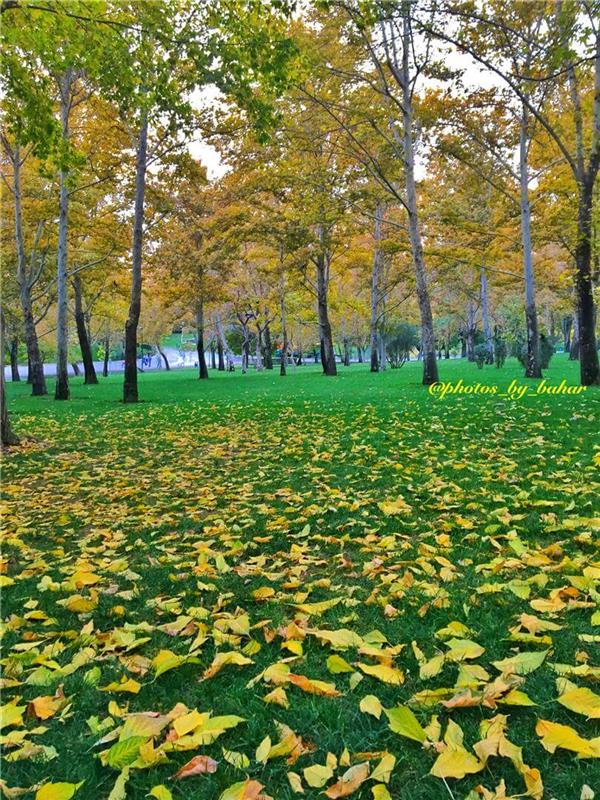 هنر عکاسی پاییز Photos_by_bahar