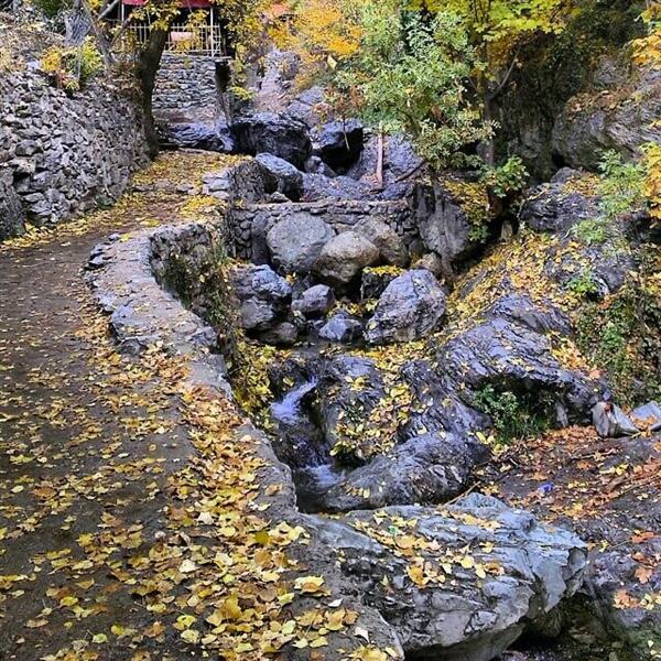 هنر عکاسی پاییز رضوان