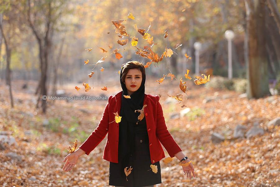 هنر عکاسی پاییز محمدجوادآبجوشک
