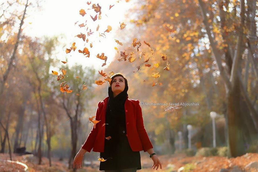 هنر عکاسی پاییز محمدجوادآبجوشک