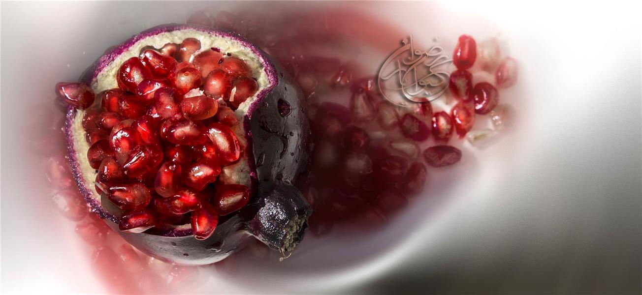هنر عکاسی پاییز رضوان کیوان یار