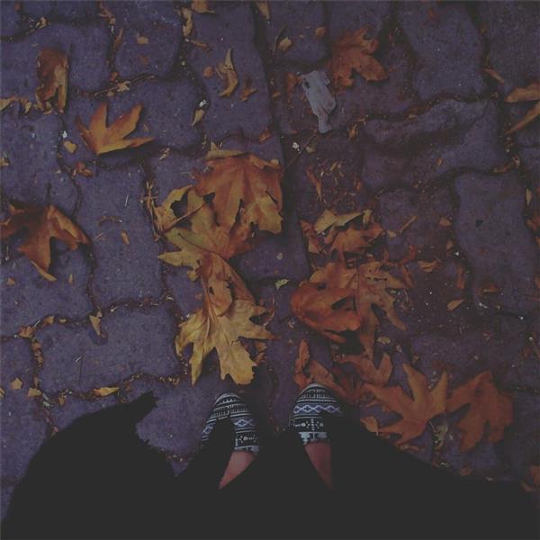 هنر عکاسی پاییز Rebekaz