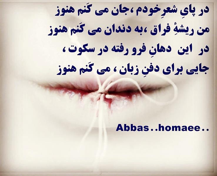 هنر شعر و داستان شعر سکوت abbas--homaee