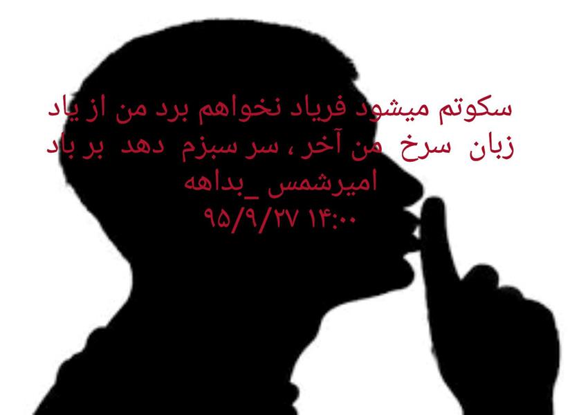 هنر شعر و داستان شعر سکوت امیرشمس  