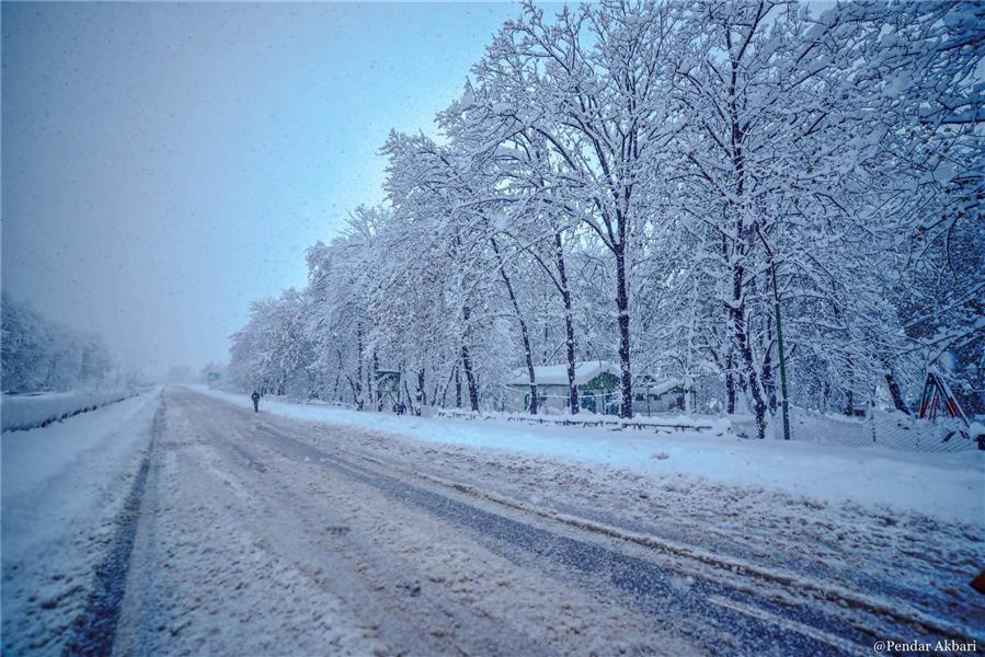 هنر عکاسی برف Pendar Akbari جاده تنهایی و سرما... سه ماده مورد نیاز برای آرام مردن!