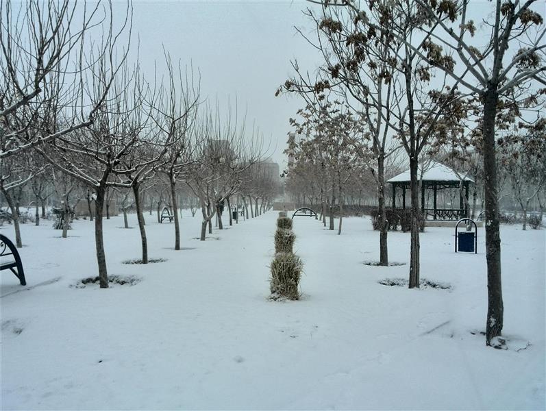 هنر عکاسی برف Behnam Salehinezhad 
