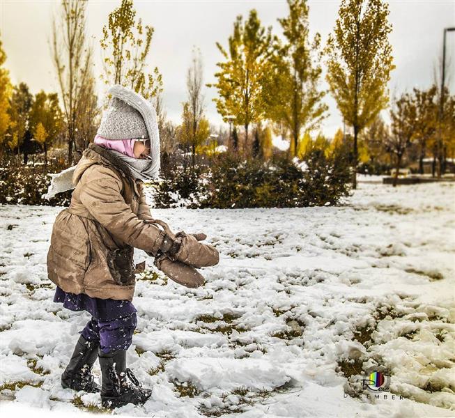 هنر عکاسی برف رضوان کیوان یار 
