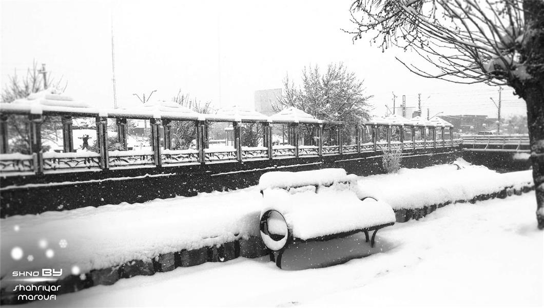 هنر عکاسی برف شهریار معروفی عکس یکی از پارک های شهرستان اشنویه 
شهریار معروفی