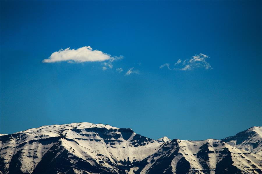  عکس مینیمال جنگل