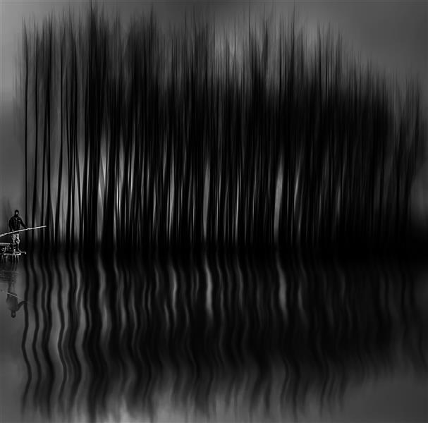  عکس مینیمال جنگل