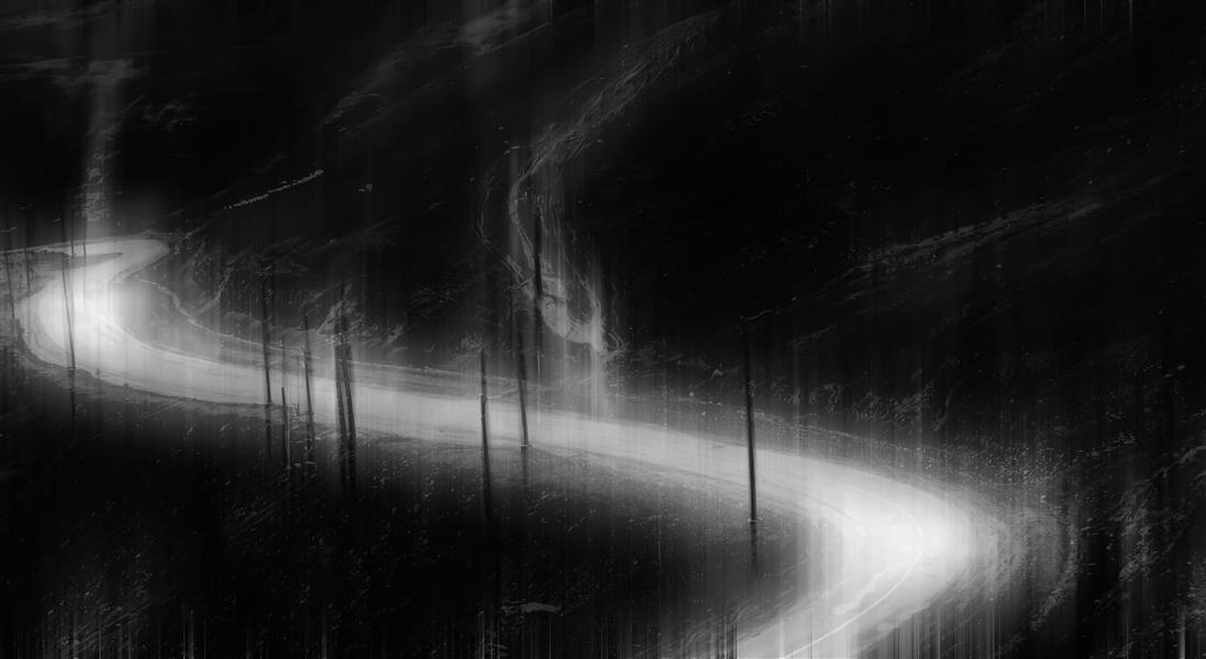  عکس مینیمال جنگل