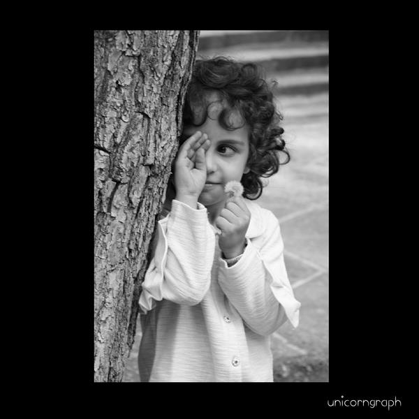 هنر عکاسی محفل عکاسی pfyfpu 
