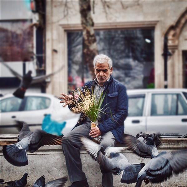 هنر عکاسی محفل عکاسی مونا ثابت 