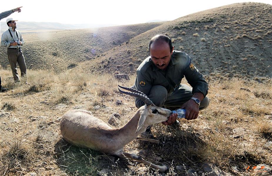 هنر عکاسی محفل عکاسی جمشیدفرجوندفردا 