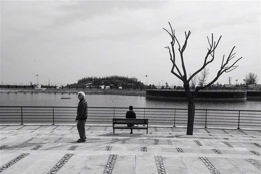 هنر عکاسی محفل عکاسی Tyrana palizban #تنهايى#خودشناسى#درخت#زندگى