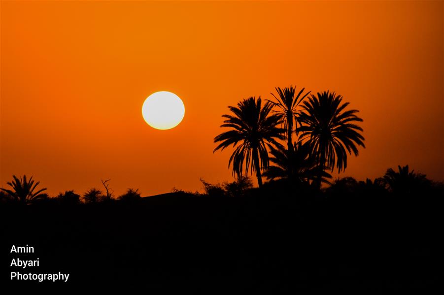 هنر عکاسی محفل عکاسی   Amin Abyari Photography #غروب #ساحل #چابهار #ساحل_درک #نخل #طبیعت #کویر