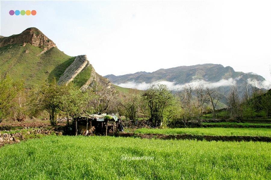 هنر عکاسی محفل عکاسی  رضابراتی پور