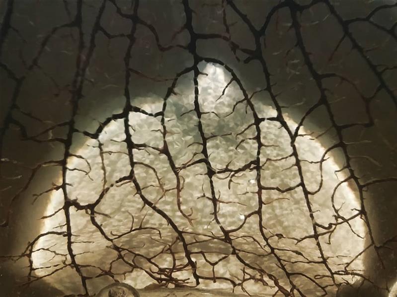 هنر عکاسی محفل عکاسی محسن غفرانی بهار۱۳۹۹
عکس مربوط به ریشه های یک گیاه می باشد که با بازتاب نور لامپ بر روی شیشه تُنگ حالت #دوگانگی به وجود آورده است.
به بیان دیگر نور قاب دور لامپ باعث روشنایی  در میان عکس شده است.