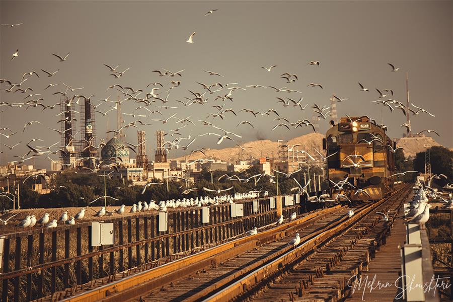 هنر عکاسی محفل عکاسی مهران شوشتری #پرنده های مهاجر و #سفر هرساله آنها در #زمستان به #اهواز . #پل سفید #قطار و #پرنده های مهاجر در دورنمایی از ساحل #شرقی #کارون