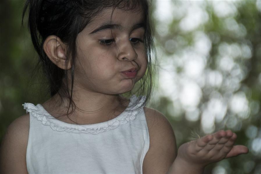 هنر عکاسی محفل عکاسی noname