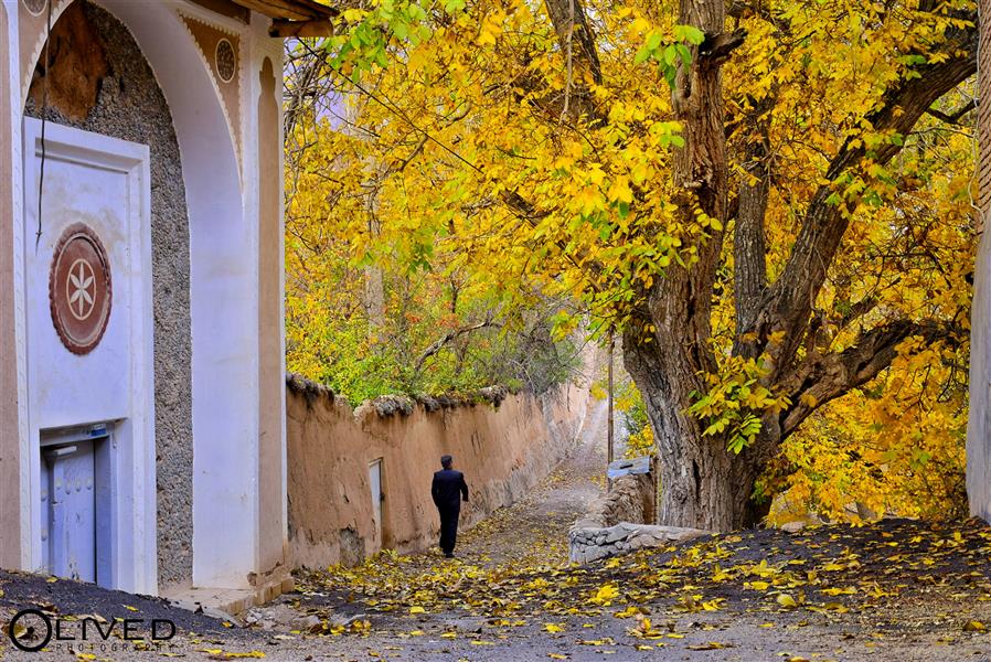 هنر عکاسی محفل عکاسی امید پاک‌طینت