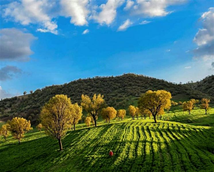 هنر عکاسی محفل عکاسی زانا کوردستانی منطقه ی بسطام الشتر
#سعید_فلاحی
#سعید
#فلاحی
#زانا_کوردستانی
#زانا
#کوردستان
#لیلا
#لیلایم
#لیلا_طیبی
#رها
#رهایم
#رها_فلاحی
#کتاب
#شعر
#شعرک
#اشعار
#شاعر
#شعر_کوتاه
#شعر_سپید
#ایران
#عشق
#هایکو
#سایفایکو
#دوست
#ادبیات
#ادبیات_فارسی
#ادبیات_کردی
#کورد
#کردستان
#کرمانشاه
#همدان
#لرستان
#بروجرد
#نهاوند
#انجمن_شعر_و_ادب_میخانه
#پریسکه
#سپکو
#چامه
#چامک
#چکامه
#شاعر
#نویسنده
#نقاش
#معرقکار
#معرقکاری
#هنرمند
#عکس
#عکس-نوشته
#عکاسی
#طبیعت
#متن
#تلگرام
#اینستاگرام
#غزل
#قصیده
#مثنوی
#سه_گانی
#چامه
#شعرناب
#شعرنو
#شعرپاک
#شعرایران
#شعرمعاصر
#شعرکلاسیک
#شعرها
#شاعران
#کامیاران
#دانش_آموز
#معلم
#دانشگاه
#مدرسه
#دانشجو
#اسلام
#zanakordistani
#lilatayebi
#saeidfallahi
#rahafallahi
#sheer
#mikhanehkolop
#poet
#Poetry
#shortpoem
#Story
#writer
#research_fellow
#Drunkard