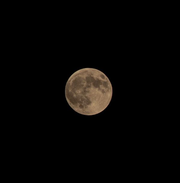 هنر عکاسی محفل عکاسی Romina pavier موضوع اثر: ماه  این عکس، اولین عکسی بود که از ماه گرفتم و خیلی سخت بود‌.
#ماه