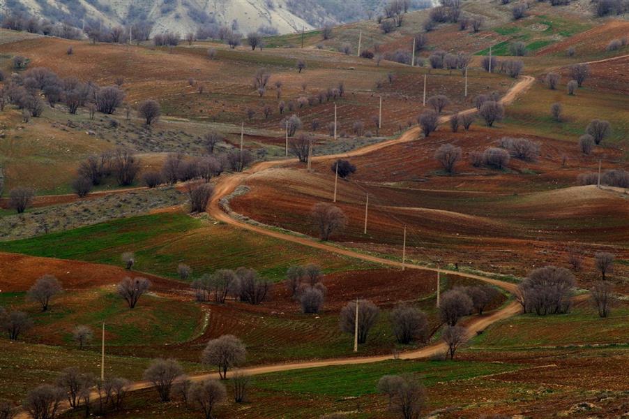 هنر عکاسی محفل عکاسی نجمه نوشادی