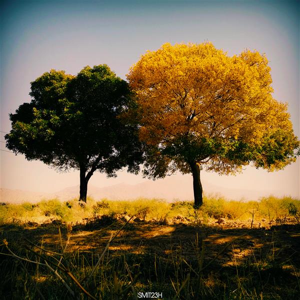 هنر عکاسی محفل عکاسی سعید حاتمی 