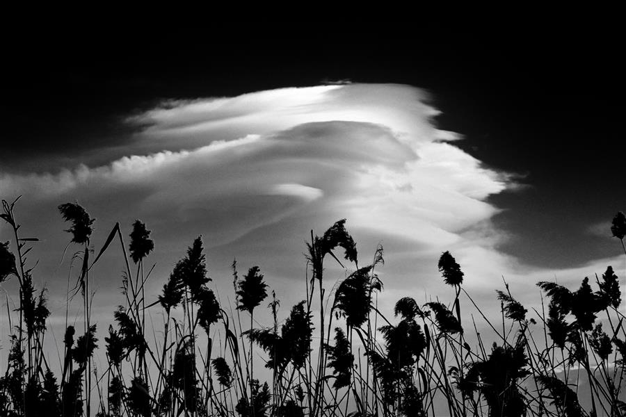 هنر عکاسی محفل عکاسی Mohammad #photography#landscape#abstract##cloud#sky#fineart#blackandwhite#nature