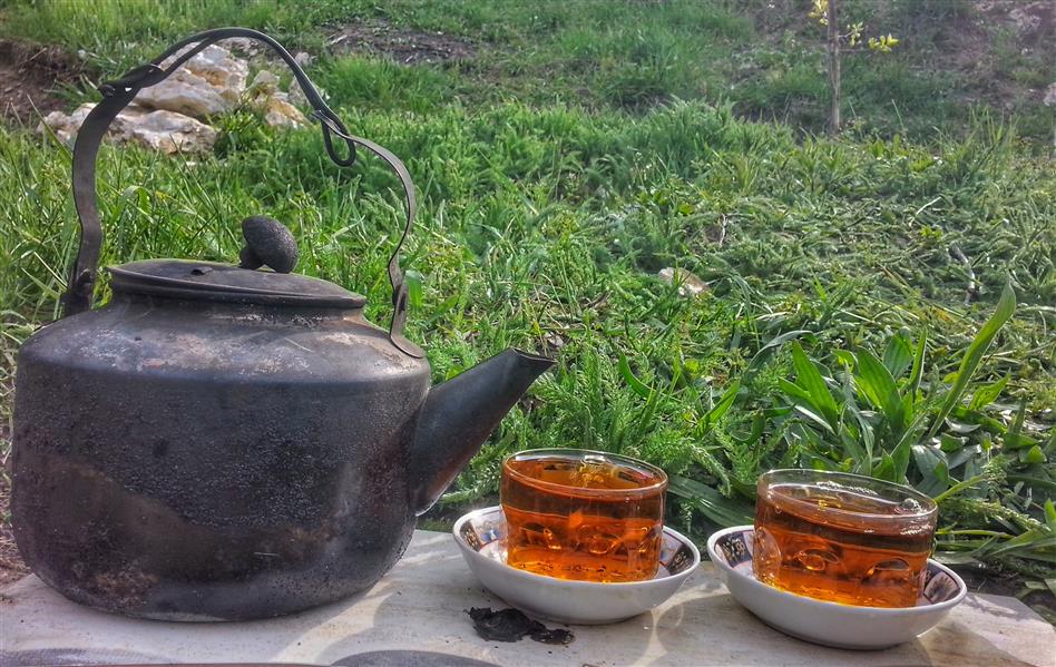 هنر عکاسی محفل عکاسی peshava alizadeh بفرمایید چایی
سردشت،آذربایجان غربی
#چایی #سردشت #طبیعت #روژهلات 
