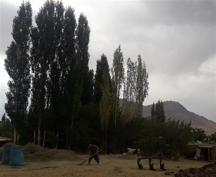 هنر عکاسی محفل عکاسی زهراشیرپاک طبیعت چهار محال و مرد روستایی