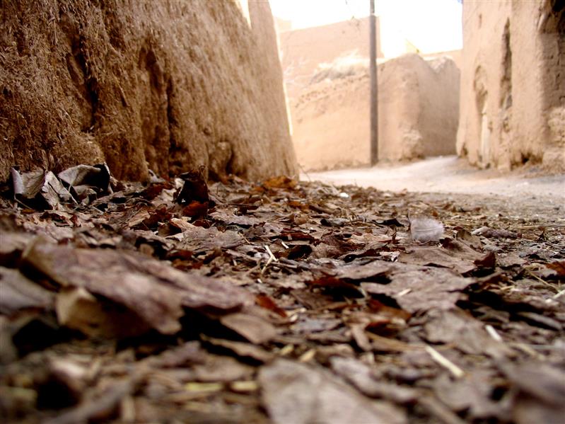 هنر عکاسی محفل عکاسی محمدمهدی اکبری میبدی 
