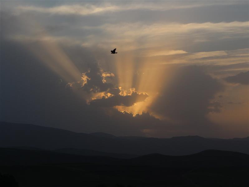 هنر عکاسی محفل عکاسی فاطمه جلوخانی عکاسی سیلوئت، غروب آفتاب روستای نیارک،1399،فاطمه جلوخانی نیارکی
#عکاسی#عکس #عکاسی_سیلوئت #عکاسی_ضد_نور #غروب#آفتاب #خورشید #کوه #ابر#طبیعت #زندگی#عشق #روستا #نیارک