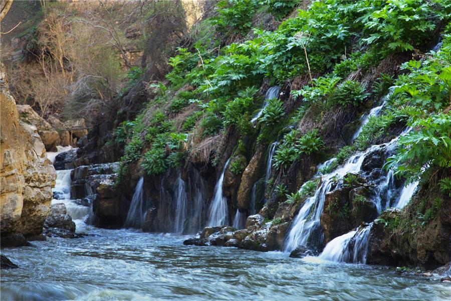 هنر عکاسی محفل عکاسی علی اکبر کرمانی 