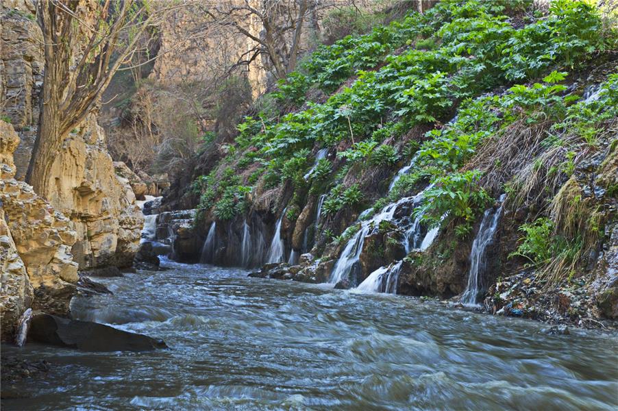 هنر عکاسی محفل عکاسی علی اکبر کرمانی 